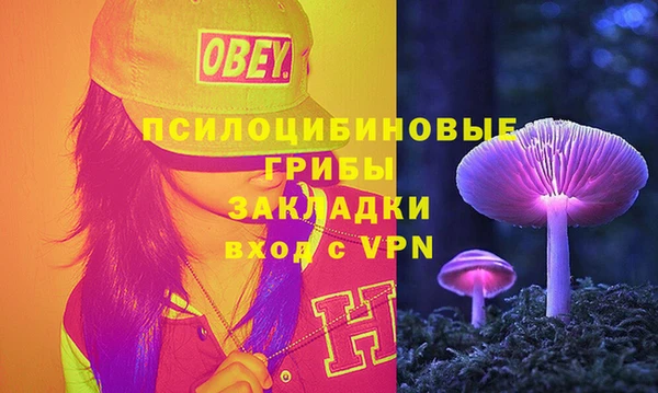 хмурый Алзамай