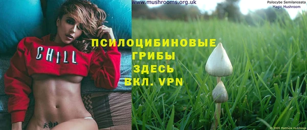хмурый Алзамай