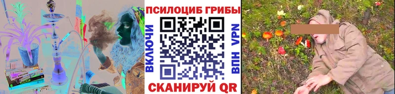 Галлюциногенные грибы Psilocybe  Удомля 