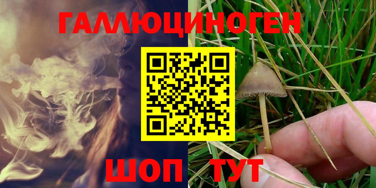 Галлюциногенные грибы MAGIC MUSHROOMS  Вход с VPN  Удомля 